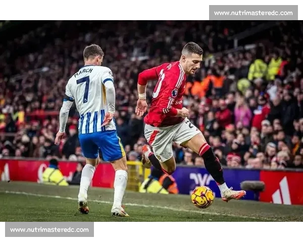 谢什科献曼联首助,红魔 4-2 布莱顿取三连胜